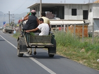 albania